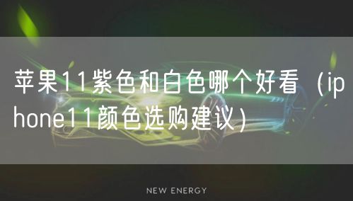 苹果11紫色和白色哪个好看（iphone11颜色选购建议）