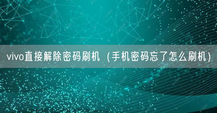 vivo直接解除密码刷机（手机密码忘了怎么刷机）
