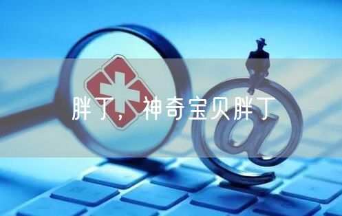 胖丁，神奇宝贝胖丁