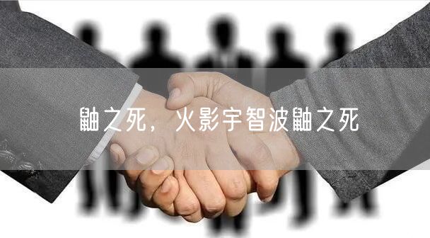 鼬之死，火影宇智波鼬之死