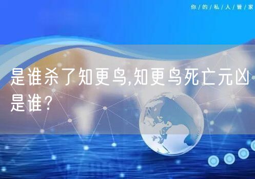 是谁杀了知更鸟,知更鸟死亡元凶是谁？