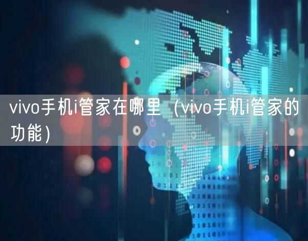 vivo手机i管家在哪里（vivo手机i管家的功能）