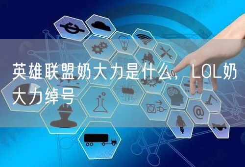 英雄联盟奶大力是什么,LOL奶大力绰号