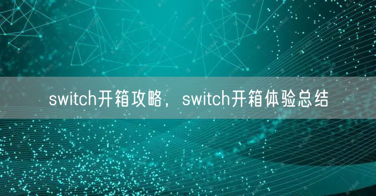 switch开箱攻略，switch开箱体验总结
