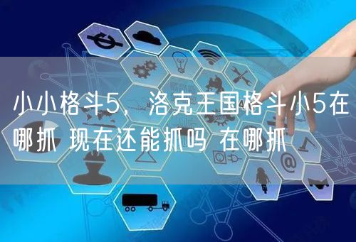 小小格斗5,洛克王国格斗小5在哪抓 现在还能抓吗 在哪抓