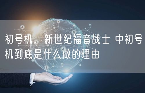 初号机,新世纪福音战士 中初号机到底是什么做的理由