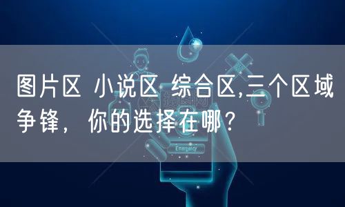 图片区 小说区 综合区,三个区域争锋，你的选择在哪？