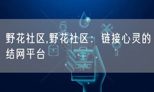 野花社区,野花社区:链接心灵的结网平台