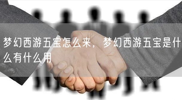 梦幻西游五宝怎么来,梦幻西游五宝是什么有什么用