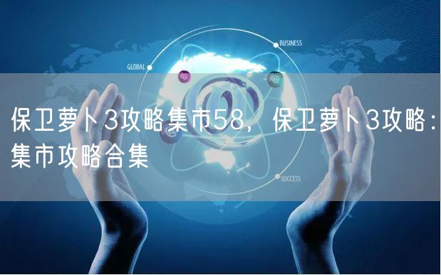 保卫萝卜3攻略集市58，保卫萝卜3攻略：集市攻略合集