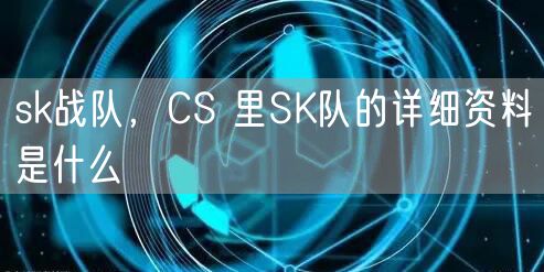 sk战队,CS 里SK队的详细资料是什么