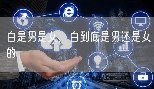 白是男是女，白到底是男还是女的