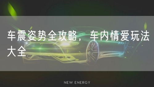 车震姿势全攻略，车内情爱玩法大全