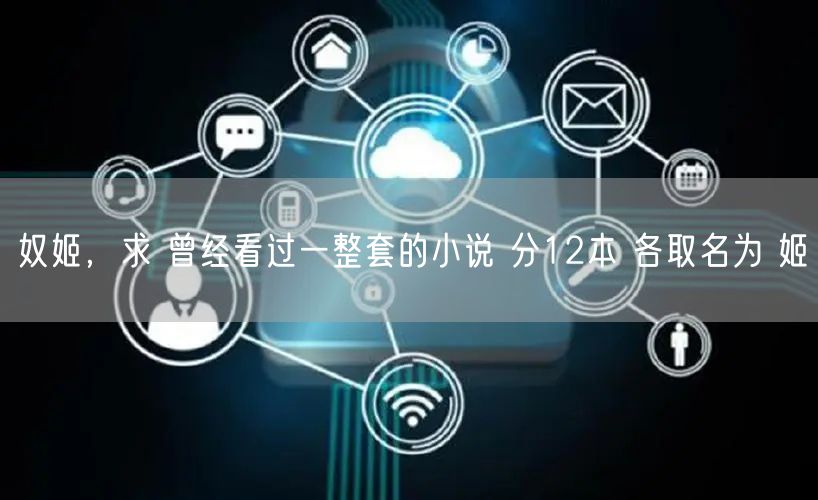 奴姬，求 曾经看过一整套的小说 分12本 各取名为 姬