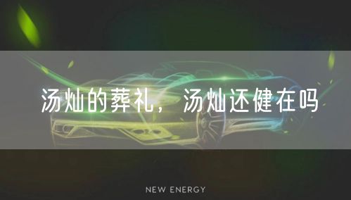 汤灿的葬礼,汤灿还健在吗