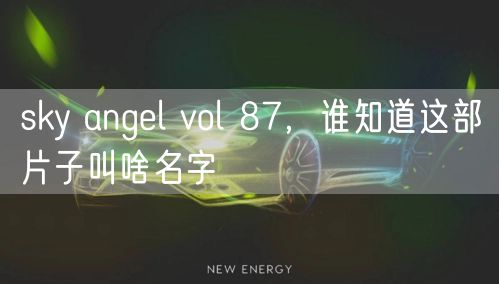 sky angel vol 87，谁知道这部片子叫啥名字