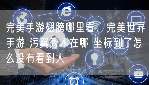 完美手游翅膀哪里看,完美世界手游 污翼秀木在哪 坐标到了怎么没有看到人