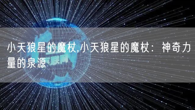 小天狼星的魔杖,小天狼星的魔杖：神奇力量的泉源