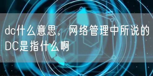 dc什么意思，网络管理中所说的DC是指什么啊