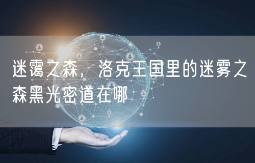 迷霭之森，洛克王国里的迷雾之森黑光密道在哪