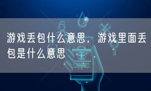 游戏丢包什么意思，游戏里面丢包是什么意思