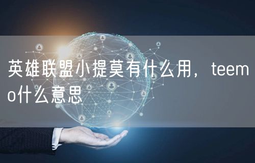 英雄联盟小提莫有什么用，teemo什么意思