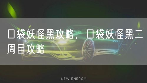 口袋妖怪黑攻略，口袋妖怪黑二周目攻略