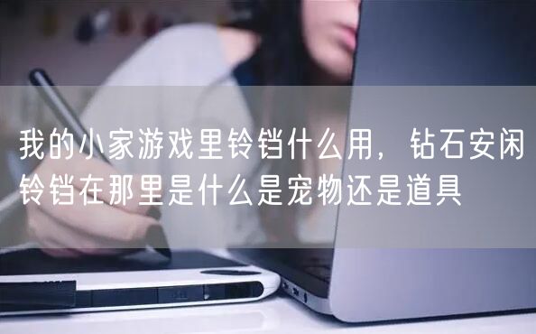 我的小家游戏里铃铛什么用,钻石安闲铃铛在那里是什么是宠物还是道具