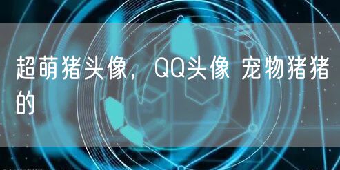 超萌猪头像,QQ头像 宠物猪猪的