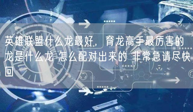 英雄联盟什么龙最好,育龙高手最厉害的龙是什么龙 怎么配对出来的 非常急请尽快回