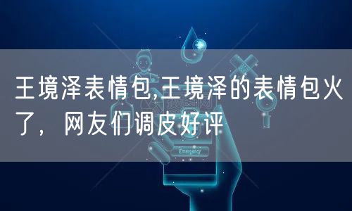 王境泽表情包,王境泽的表情包火了，网友们调皮好评