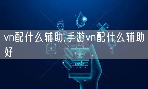 vn配什么辅助,手游vn配什么辅助好