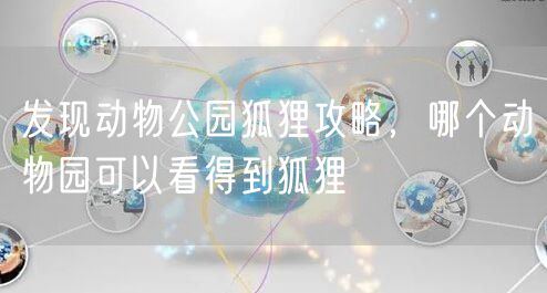 发现动物公园狐狸攻略，哪个动物园可以看得到狐狸