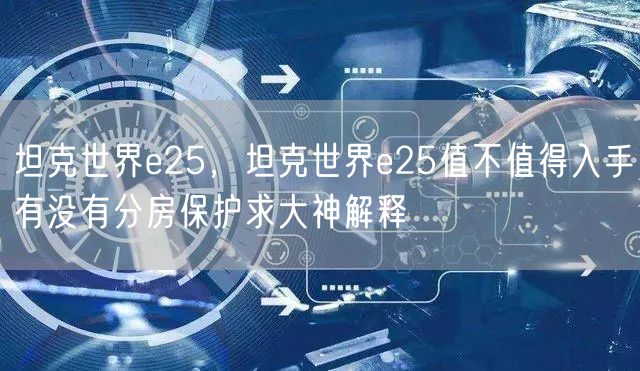 坦克世界e25，坦克世界e25值不值得入手有没有分房保护求大神解释