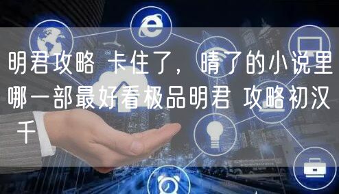 明君攻略 卡住了，晴了的小说里哪一部最好看极品明君 攻略初汉 千