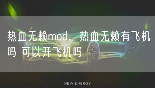 热血无赖mod,热血无赖有飞机吗 可以开飞机吗