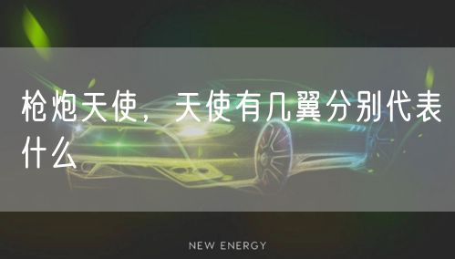 枪炮天使，天使有几翼分别代表什么