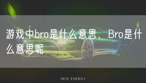 游戏中bro是什么意思，Bro是什么意思呢