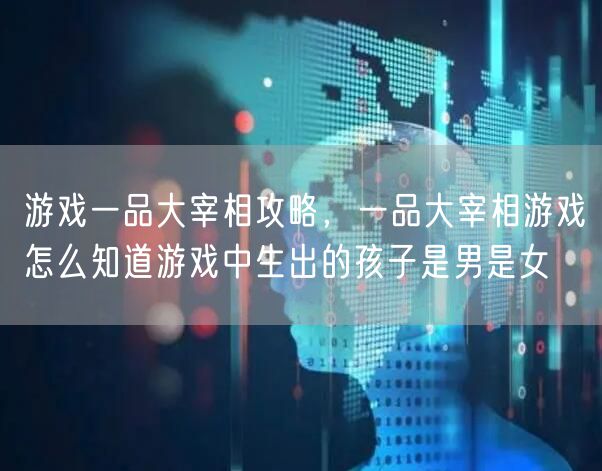 游戏一品大宰相攻略，一品大宰相游戏怎么知道游戏中生出的孩子是男是女