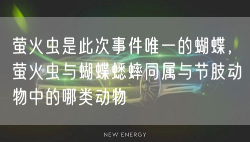 萤火虫是此次事件唯一的蝴蝶，萤火虫与蝴蝶蟋蟀同属与节肢动物中的哪类动物