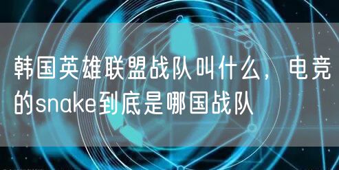 韩国英雄联盟战队叫什么，电竞的snake到底是哪国战队