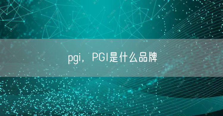 pgi，PGI是什么品牌
