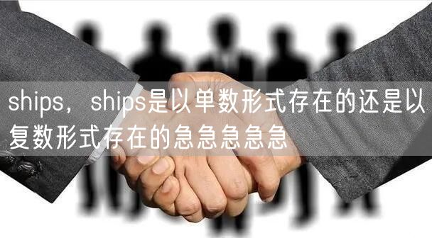 ships，ships是以单数形式存在的还是以复数形式存在的急急急急急