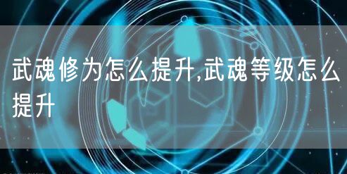 武魂修为怎么提升,武魂等级怎么提升