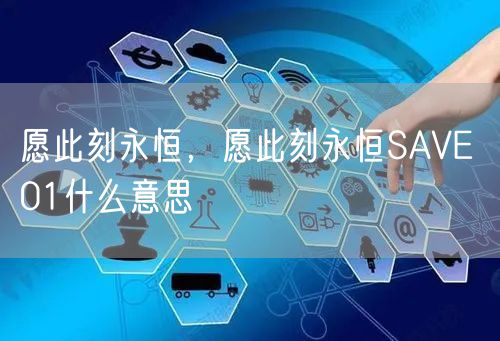 愿此刻永恒,愿此刻永恒SAVE 01什么意思