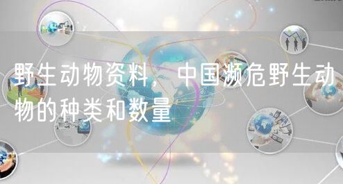 野生动物资料，中国濒危野生动物的种类和数量