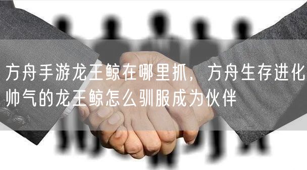 方舟手游龙王鲸在哪里抓,方舟生存进化帅气的龙王鲸怎么驯服成为伙伴