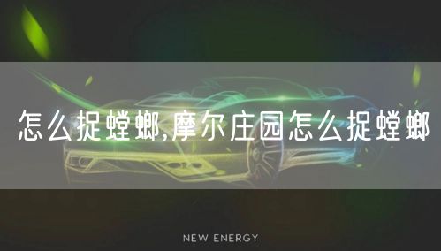 怎么捉螳螂,摩尔庄园怎么捉螳螂