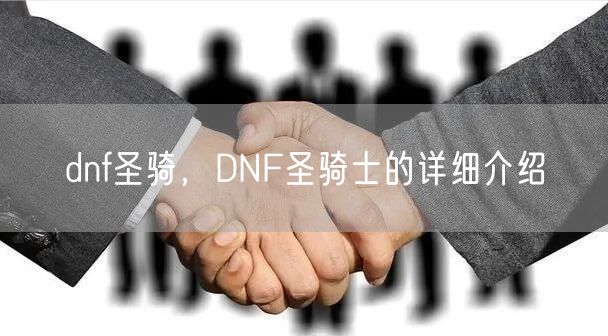 dnf圣骑，DNF圣骑士的详细介绍