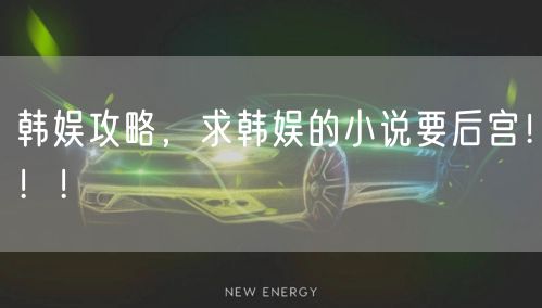 韩娱攻略,求韩娱的小说要后宫!!!